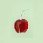 Aldo Bernardi Suspension Cherry Fruits 3 lumières GU10 LED L 41 cm 